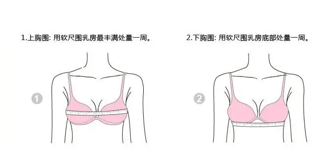 胸围测量方法示意图